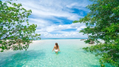 Kryssning ABC-öarna med Fort Lauderdale, 14dgr